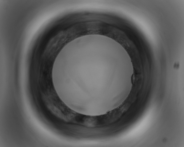 X0000102010143200808081733