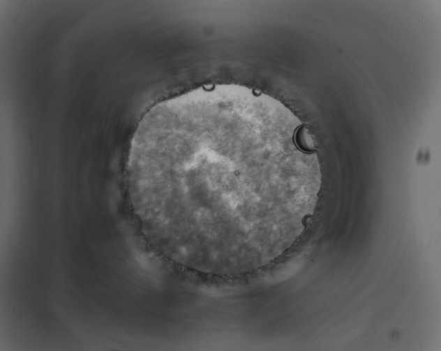 X0000102010144200808081733