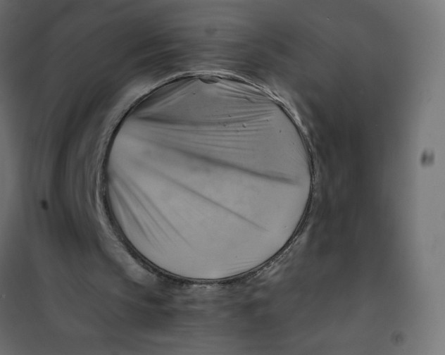 X0000102010145200808081732