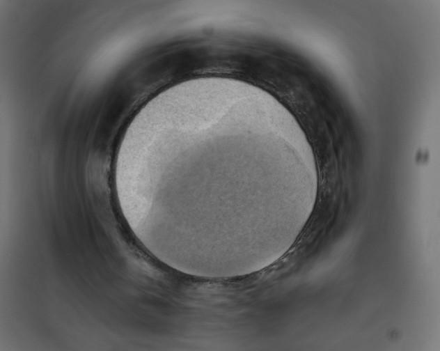 X0000102010146200808081732