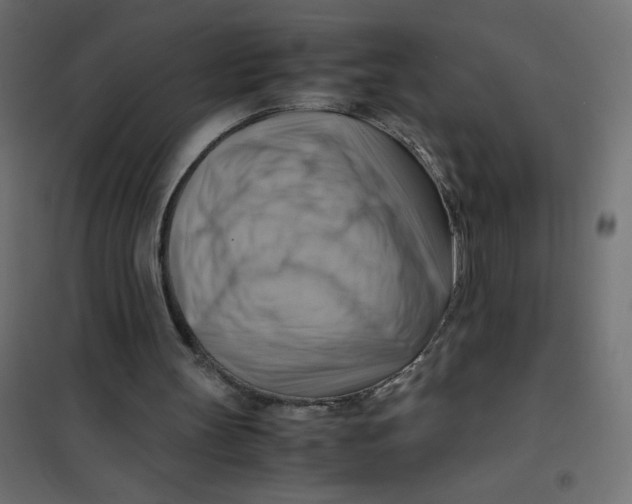 X0000102010147200808081732