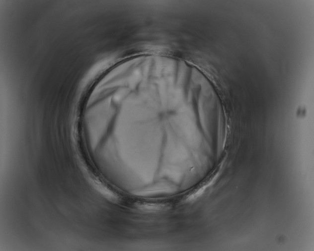 X0000102010149200808081732