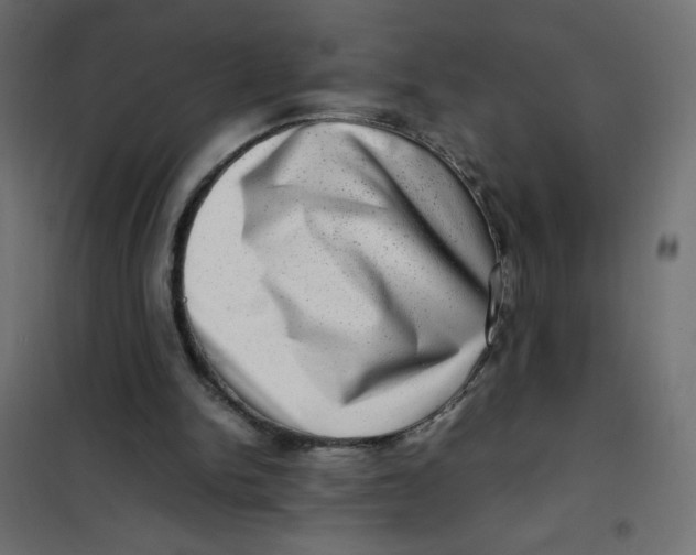 X0000102010150200808081732