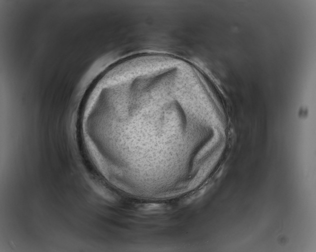 X0000102010151200808081732