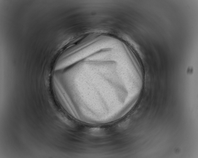 X0000102010153200808081733