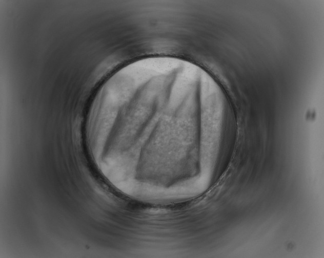 X0000102010154200808081733