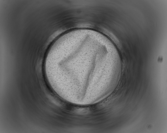 X0000102010155200808081733