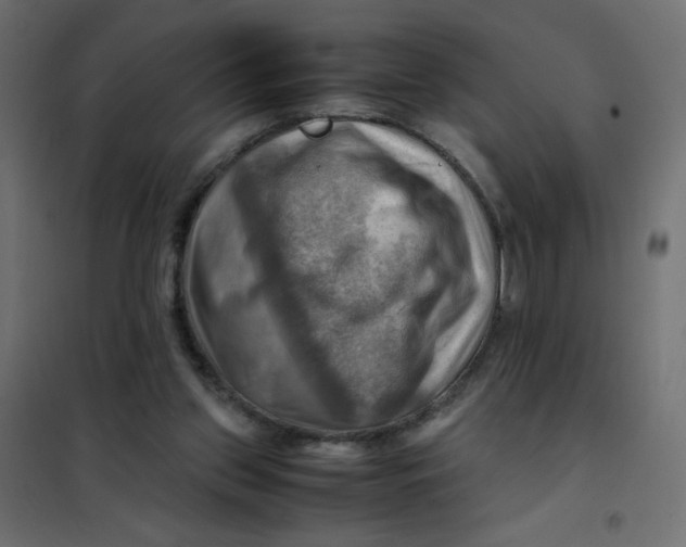 X0000102010157200808081733