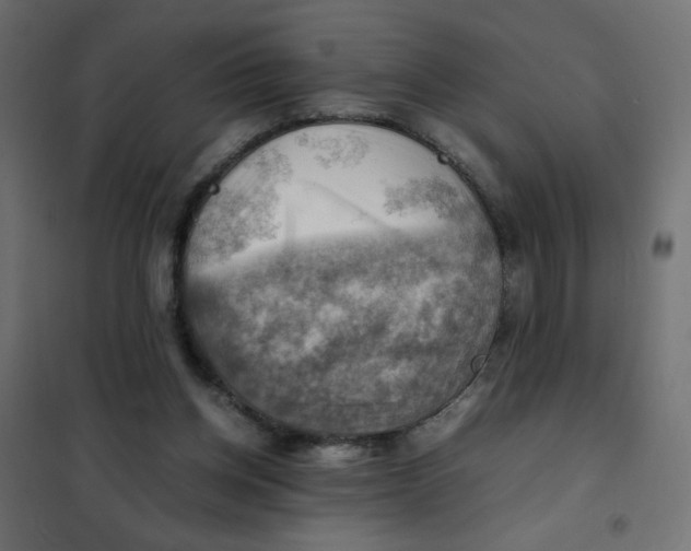 X0000102010158200808081733