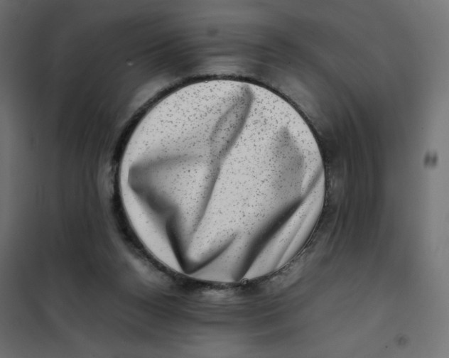 X0000102010160200808081733