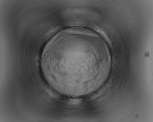 X0000102010161200808081733