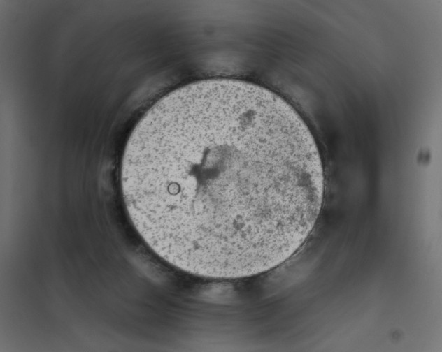 X0000102010162200808081733