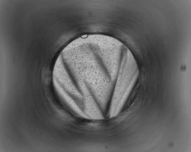 X0000102010164200808081733