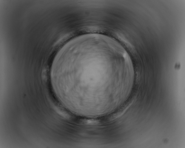 X0000102010165200808081733