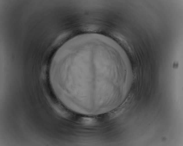 X0000102010167200808081733