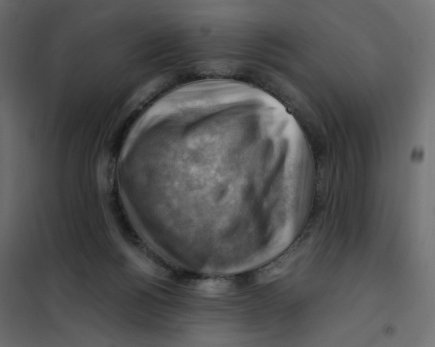 X0000102010168200808081733