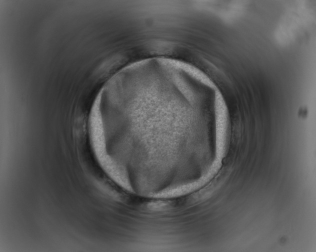 X0000102010172200808081733