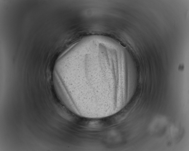 X0000102010173200808081733