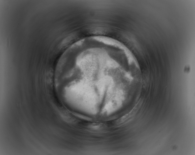 X0000102010175200808081733