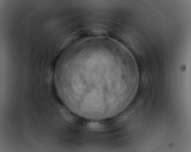 X0000102010177200808081733