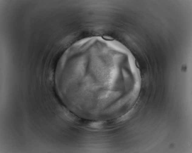 X0000102010178200808081733