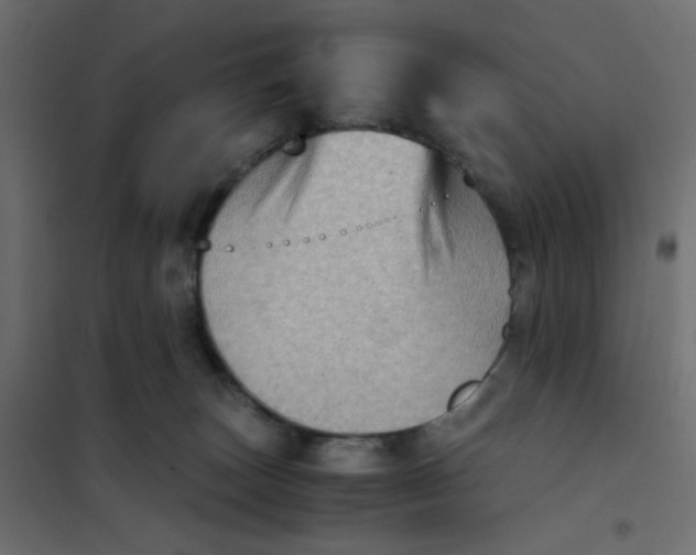 X0000102010179200808081733