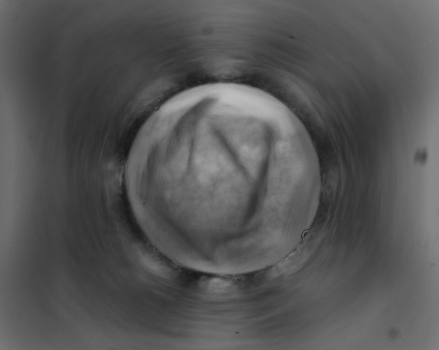 X0000102010180200808081733