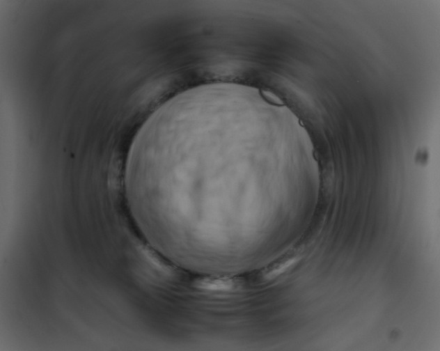 X0000102010181200808081733