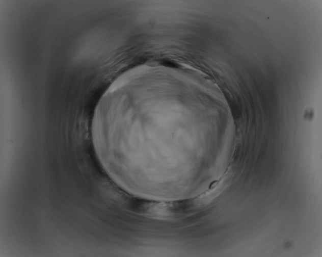 X0000102010182200808081733