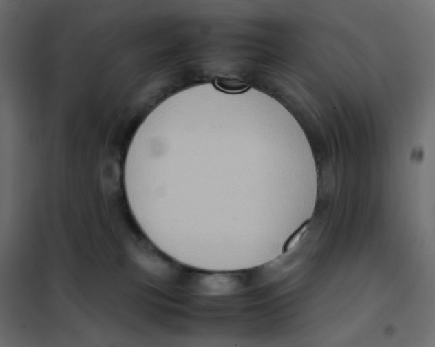 X0000102010183200808081733