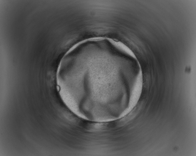 X0000102010184200808081733