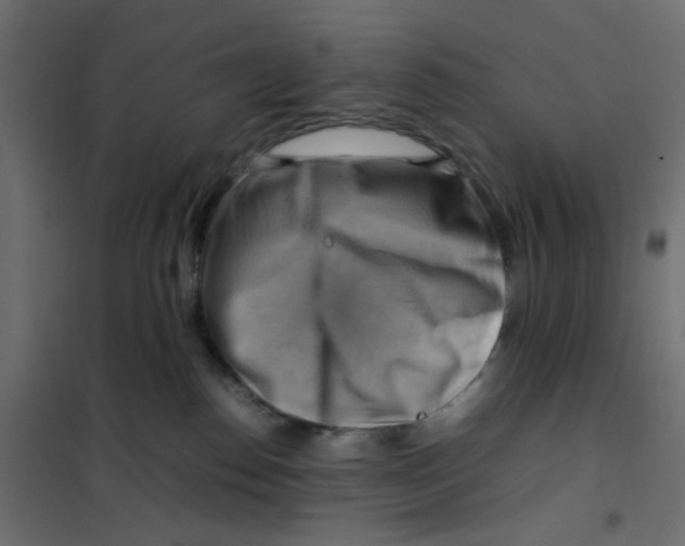 X0000102010186200808081733