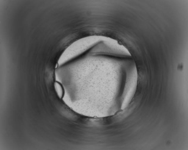 X0000102010188200808081733