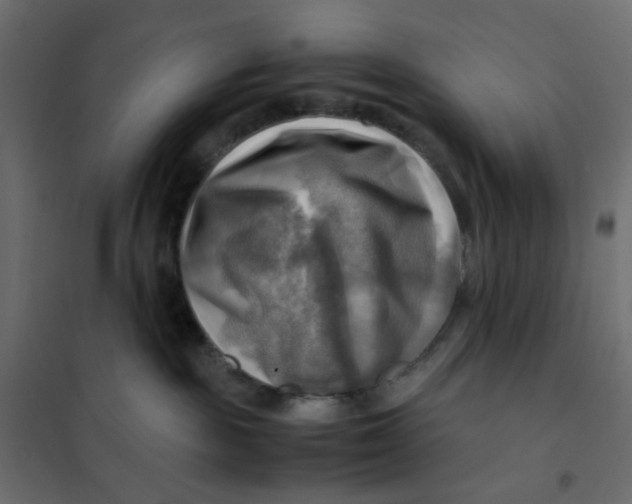 X0000102010189200808081733