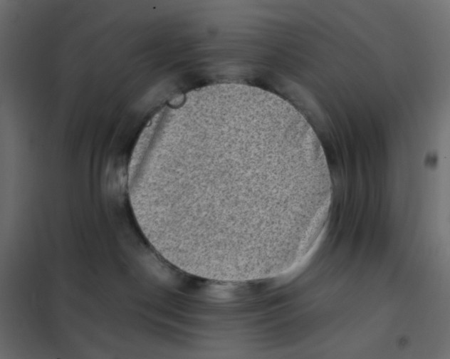 X0000102010190200808081733