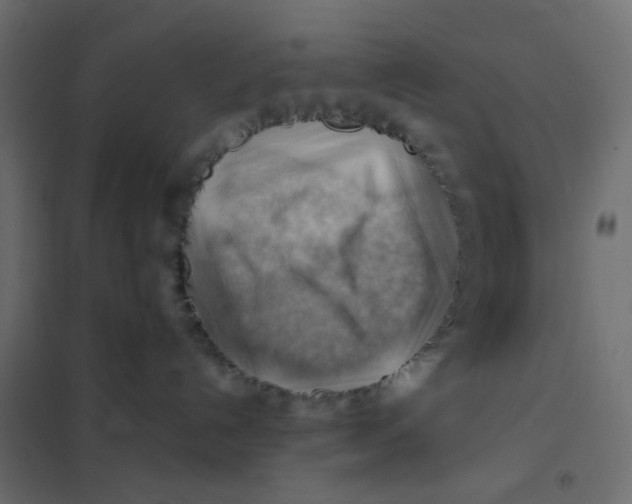 X0000102010192200808081733