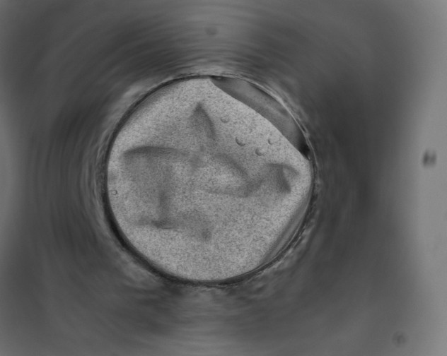 X0000102010193200808081732