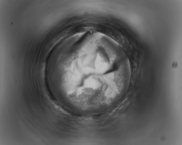 X0000102010194200808081732