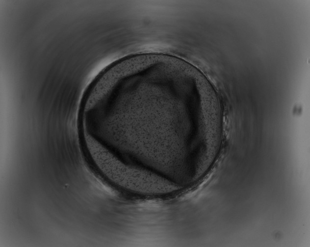 X0000102010196200808081732