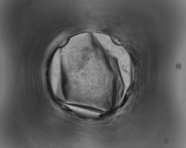 X0000102010197200808081732