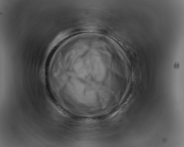 X0000102010198200808081732