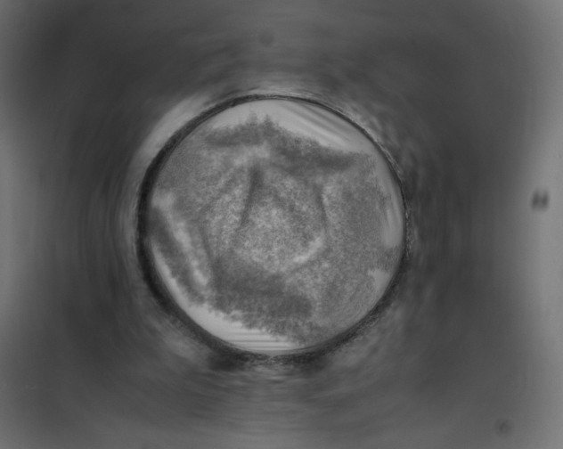 X0000102010199200808081732