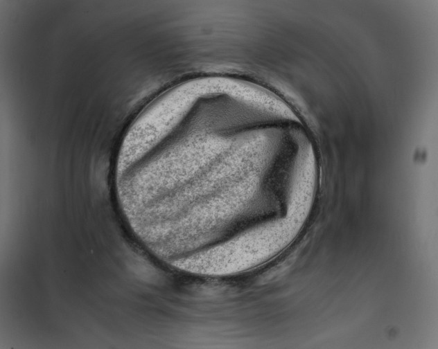 X0000102010201200808081732