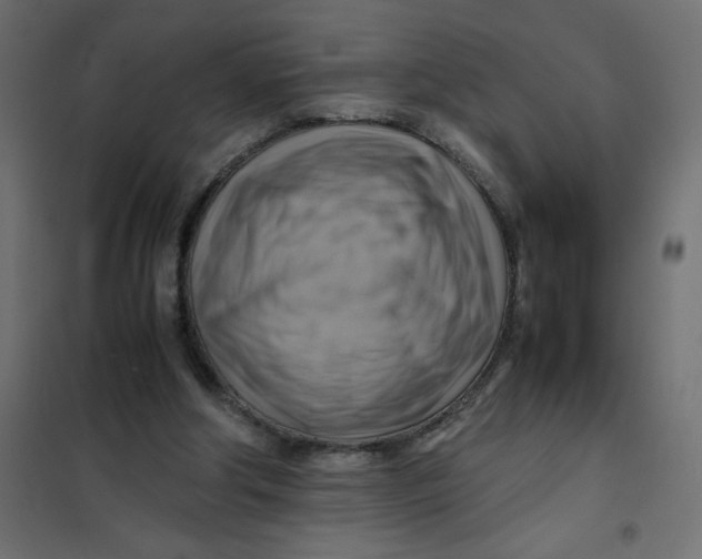 X0000102010202200808081732