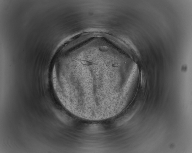 X0000102010204200808081732