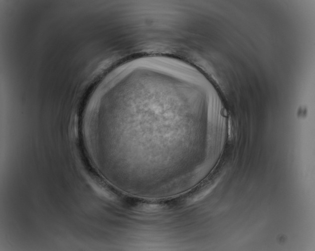 X0000102010205200808081732