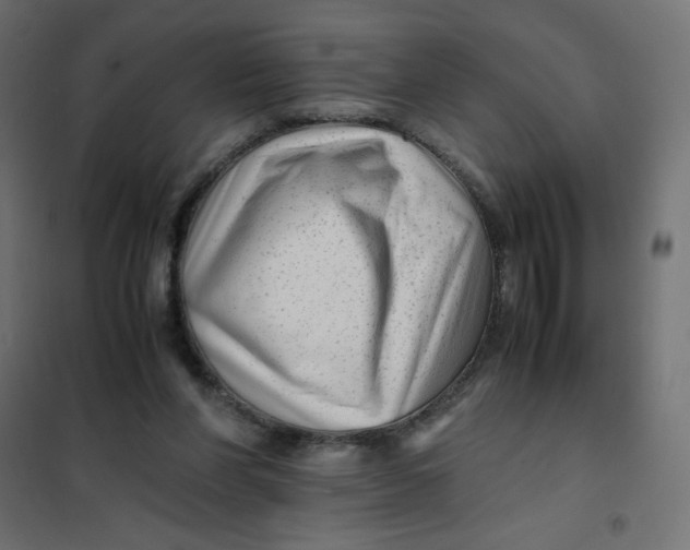 X0000102010206200808081732