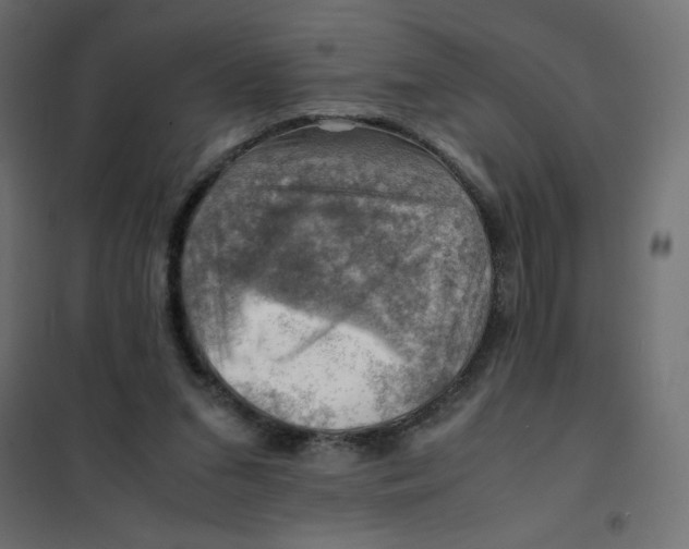 X0000102010207200808081732