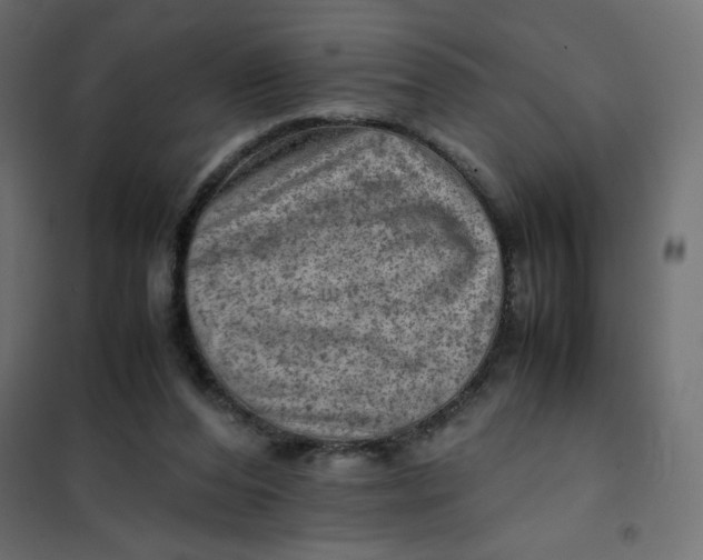 X0000102010208200808081732