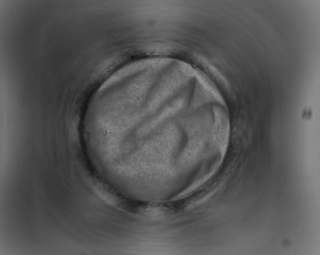 X0000102010209200808081732